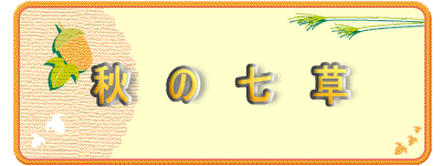 H@́@@