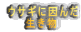 ETMɈ @@