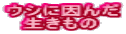 EVɈ @
