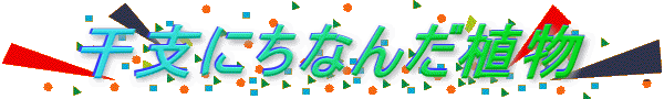 xɂȂ񂾐A