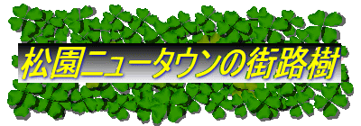 j[^E̊XH