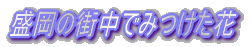 ̊Xł݂