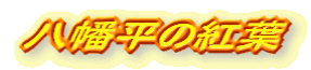̍gt