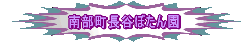 암Jڂ