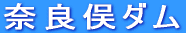 奈良俣ダム