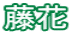 藤花
