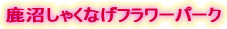 鹿沼しゃくなげフラワーパーク