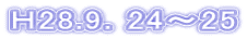 g28.9D24`25