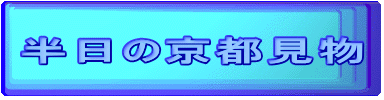 ̋s