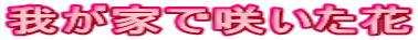 䂪Ƃō炢