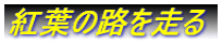 gt̘H𑖂