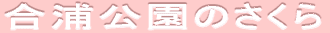Ŷ