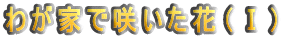 わが家で咲いた花(T)