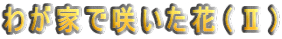 わが家で咲いた花(U)